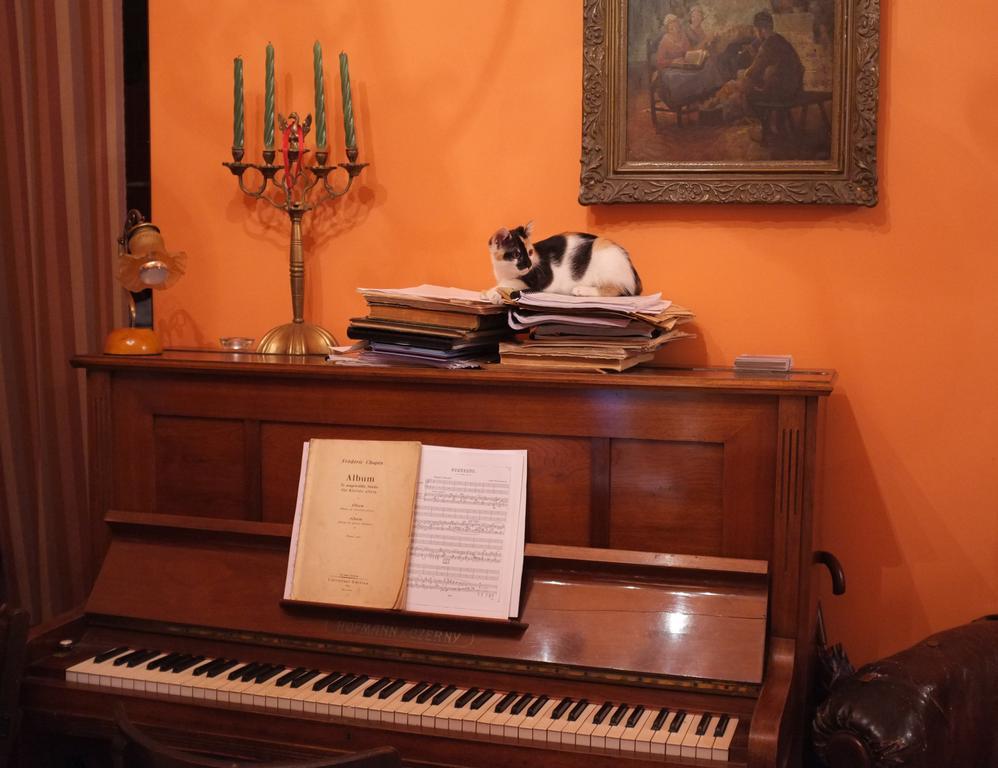 Piano Guest House Krakow Dış mekan fotoğraf